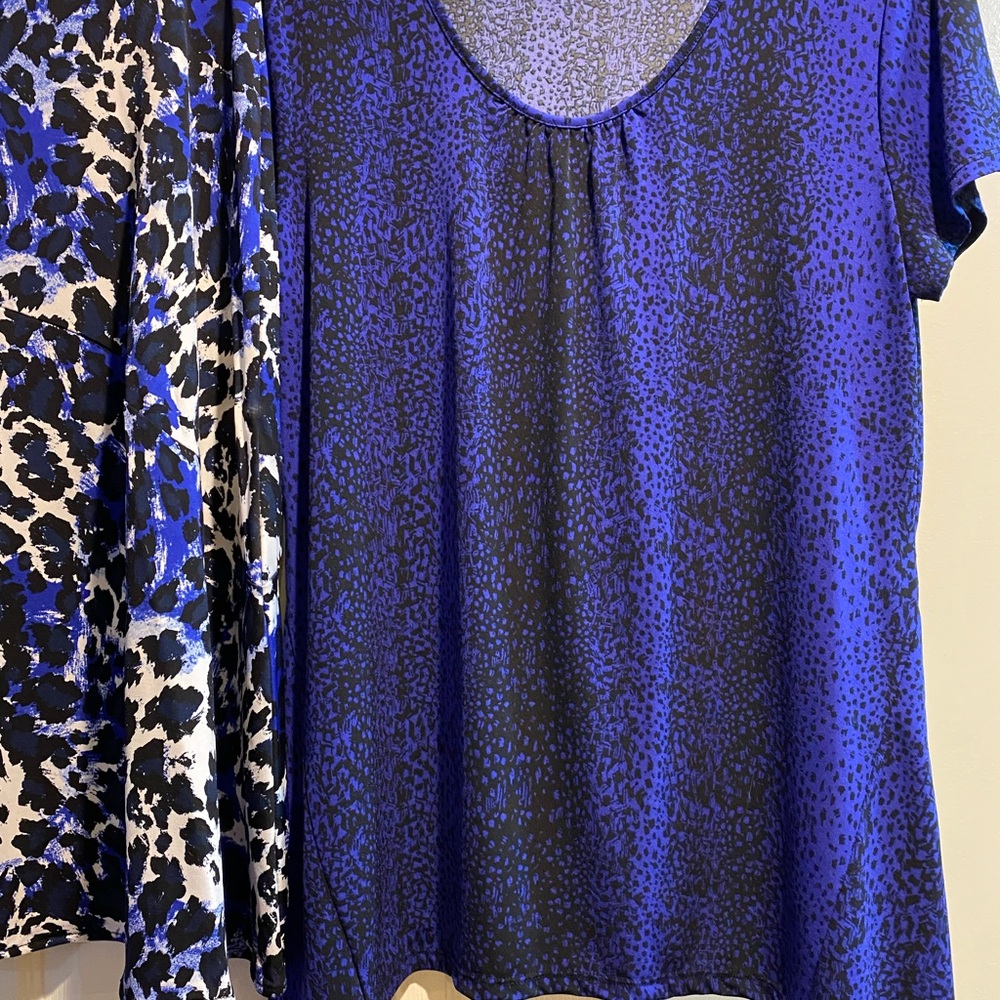Ladies skirt and blouse